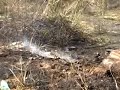 Controguerra - Incendio in Bonifica, prostitute terrorizzate