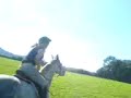 gallopin