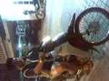 Aideed blaja how 2 naik motor!!!!