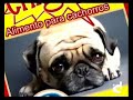 Chigüesque TV: Comida para perros \"Chiguau\" Chigüesque TV: Comida para perros \"Chiguau\"