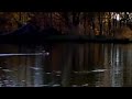 RC Boot mit Propeller antrieb.MP4