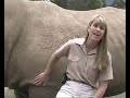 Terri Irwin Introduces DJ the White Rhino