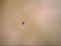 jamie2821halo2 superjump montage jamie2821halo2 superjump montage