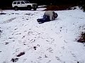 una revolcadita en la nieve