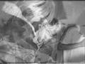 videos de Hole- Miss World (demo)