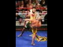 UFC/MMA tribute