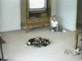 Kinderen en dieren