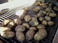 Kartoffelernte 2007 Kartoffelernte 2007