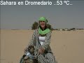 viaje a Tunez Hammamet viaje a Tunez Hammamet