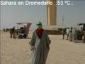 viaje a Tunez Hammamet