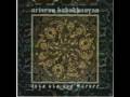 Artsrun Babakhanyan - patron dash  (zurna,suitar)