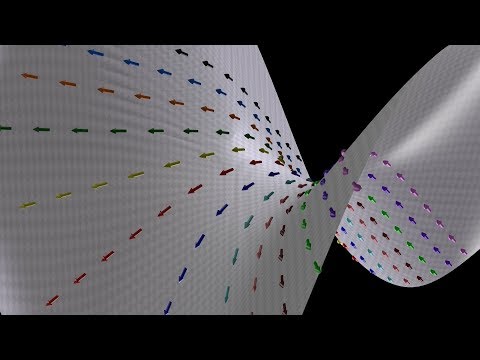 Beauty of Geodesics - YouTube