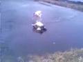 videos de Plongeon dans un lac gelé