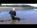 Softshell Clam Dig in the Umpqua with Bill Lackner