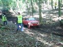 dick bolt ebworth trial 2008