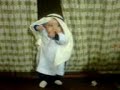 setif bébé setif bébé