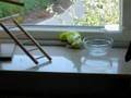 Mecki spielt auf der Fensterbank
