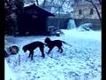 videos de Grace & Aron - 1st snow this winter season (2008/2009)