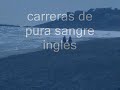 Carreras de Oropesa