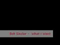 Bob Sinclar -  What I Want By Fireball