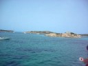RIPRESA DELL\