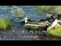 Broken Wing