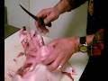 YouTube - Atlanta Meat Market Shows Cajun Turducken ...