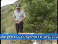 ARICILARDAN, KOVANLARINI KORUMAK İÇİN İLGİNÇ YÖNTEM