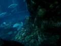 New England Aquarium- Boston