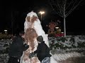 mutant slug snowman.wmv