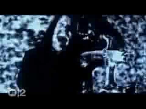 fast korn-here 2 sty