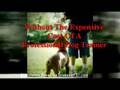 Free Dog Training CD