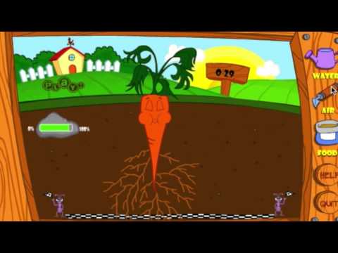 how to grow a plant tvo