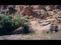 paysages rif - instru khalid izri
