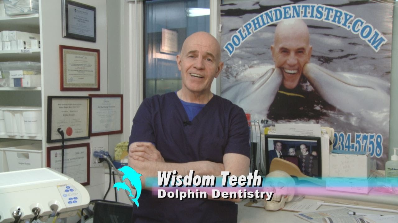 Dolphin Dentistry- Wisdom Teeth