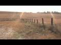 videos de Hawk on the Palouse