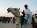Tuaregs & camels, Desert Festival, Essakane, Tombouctou 2006