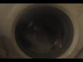 Bosch Classixx Load Wash (Towels) Bosch Classixx Load Wash (Towels)