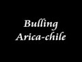 Bulling  arica-chile