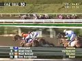 2008 Goodwood Stakes
