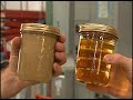 UCF Reports - Campus Biofuels UCF Reports - Campus Biofuels