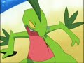 Pokemon Grovyle AMV