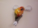 Skittles Taking a Shower