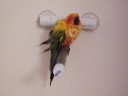 Skittles Taking a Shower