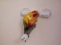 videos de Skittles Taking a Shower