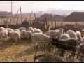 Ravage due à la pollution industrielle en Chine