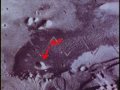 TheFacesOfMars_IntelligenceFromTheUfoDiaries.wmv