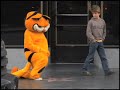 Lasagna Cat Promo