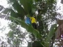 Ecoaldea