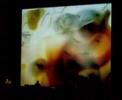 DEADBEAT / NIKO STUMPO - mediaterrae - avellino